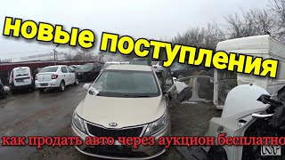 Белавтолот аукцион аварийных авто+Как продать авто через аукцион  бесплатно на выгодных условиях