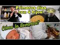 Primeros días con 4 hijos! /Cómo lo llevamos? #familiamuynumerosa#4hijos#reciennacido