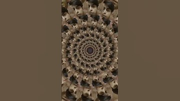 concentric circles funny video meme  #shorts #meme #concentric