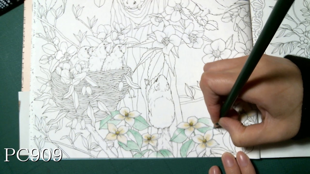 色鉛筆で塗り絵 幸せのメヌエット リスとツバメを塗るpart1 Youtube 色鉛筆で塗り絵 幸せのメヌエット リスとツバメを塗るpart1 Youtube