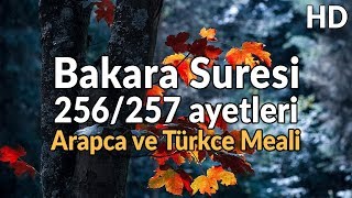 Bakara Suresi 256-257. ayetleri | Arapca ve Türkçe Meali Resimi