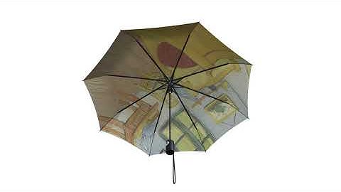 COMPACT UMBRELLA  stock frame