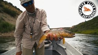 Five Flies for September 2019 - Float Fishing the Colorado with Big Dry Flies