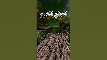 القران الكريم فلسطين بلد الفلسطينيين شعب رائع و قوي #fypシ゚viral #edit #المصحف #قرآن #ياسر_الدوسري