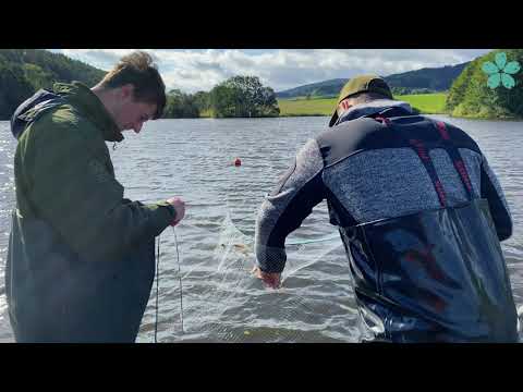 Video: Tipy Pro Rybolov: Jak Se Naučit Rozumět Vodnímu útvaru?