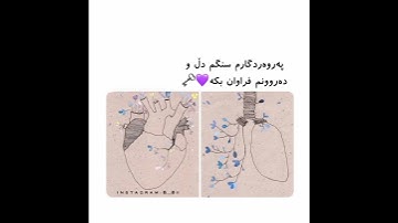 رعد محمد الكردي 🌝🤍 اجمل حالات واتس اب دينية سورة طه