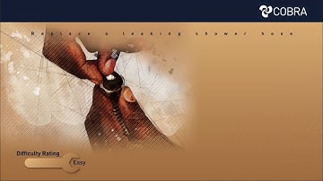 How to replace a leaking shower hose