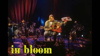 In Bloom - Nirvana (Unplugged).