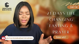 IT'S HAPPENING NOW, DON'T MISS OUT || POWERFUL PROPHETIC PRAYERS || DAY 14