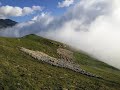 Élevage de montagne: ces métiers clés du territoire pyrénéen