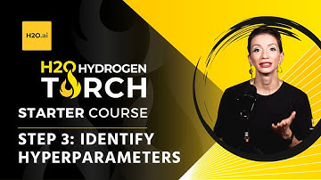 9.3. Navigating Results: Assessing Model Performance and Default Settings with H2O Hydrogen Torch