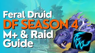 Feral Druid Season 4 Beginner Guide for Raid & M+ | Dragonflight 10.2.6