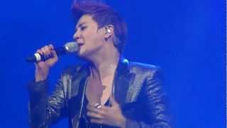 20120906 XIA in MEXICO Fallen Leaves