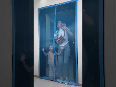 Amazing Door Curtain!