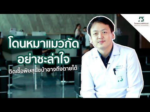 Sikarin Talks | พิษสุนัขบ้า อันตรายถึงชีวิต!!! โรคที่มีวัคซีนป้องกัน แต่ไม่มียารักษาให้หายขาด