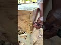 Tips and tricks💡 #woodworking #shortsvideo