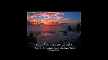 القارئ ماهر المعيقلي / سورة الزمر الآيات (٣٠-٣٢)