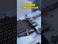 Bone chopper" "Bone cutter" "Fully automatic bone chopper"
