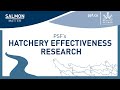 Salmon Matter Episode 4 PSF S Hatchery Effectiveness Research W Sam James Biologist PSF 