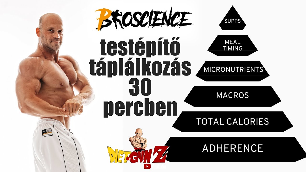 Testépítő táplálkozás 30 percben - Dietgainz