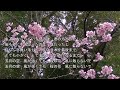 2026-4-1 弥生つめたい風/NSP