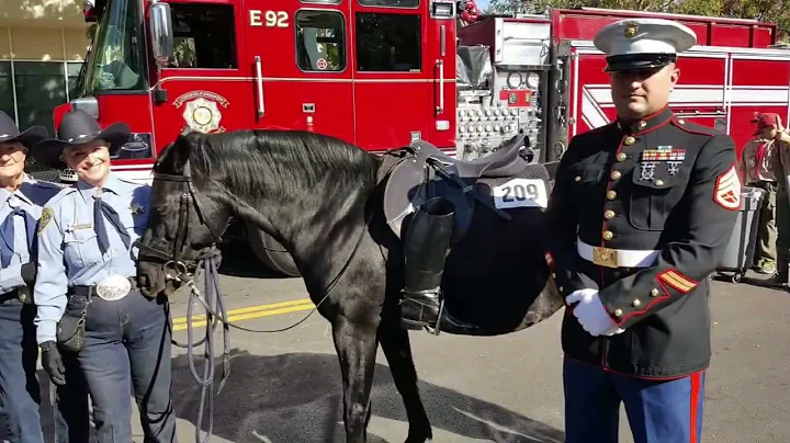 ACSO Mounted Posse Rose Parade Application Video