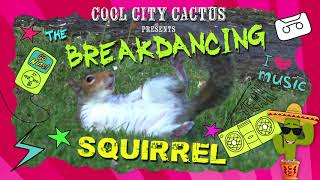 Crazy Breakdancing Squirrel - Go Nuts! 🐿️💨