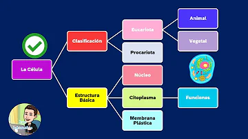 ¿Cuál es la función de zoom en Power Point?