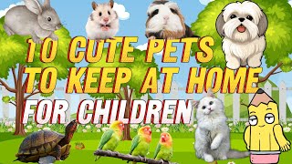 Low-maintenance Pets: Top 10 easiest pets to take care of for children