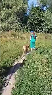 youtube.com