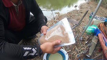 Đi câu cá diếc bằng mồi ngũ cốc - Đi thử mồi lần 1