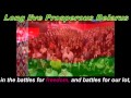 Belarus National Anthem 2012, English subs.