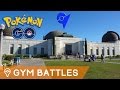 BATTLING GYMS IN POKÉMON GO
