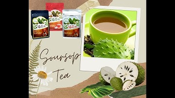 Trà mãng cầu Cẩm Thiều và những lợi ích của trà mãng cầu