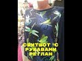 Свитшот с рукавами реглан,  очень простой крой