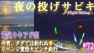 【秋夜の投げサビキ】ピンチからのチャンス！しゃくって電気ウキアジ釣り Electric Sabiki fishing in autumn night. #電気ウキ#投げサビキ#夜釣り