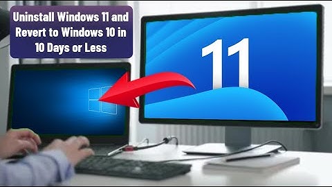 Downgrade Windows 11 to Windows 10 within 10 Days | Step-by-Step Guide