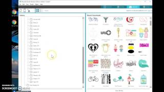 Cameo Basics:  Organizing Your Library