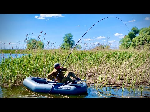 Видео: Стільки РИЖОГО САЗАНА я ще не ловив!!!