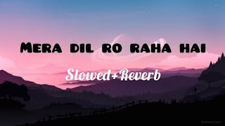 Mera Dil Ro Raha Hai | Slowed Reverb | Ali Ahsan #lofi #hindisong #sadsong