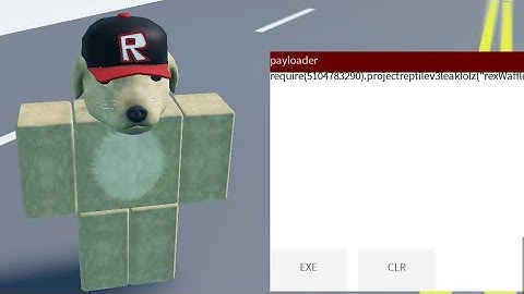 payloader scanner Backdoor Serverside Executor - Roblox Exploiting 
