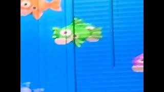 Ima - duck pond