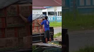 TEH PUCUK HARUM|| Stok masuk TEH PUCUK HARUM|| Stok masuk