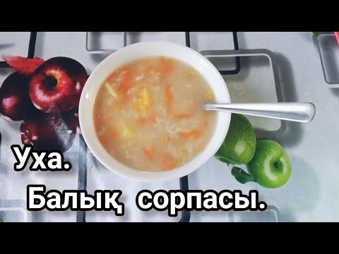 Бейне: Балық сорпасына қандай жақсы балық сатып алу керек?