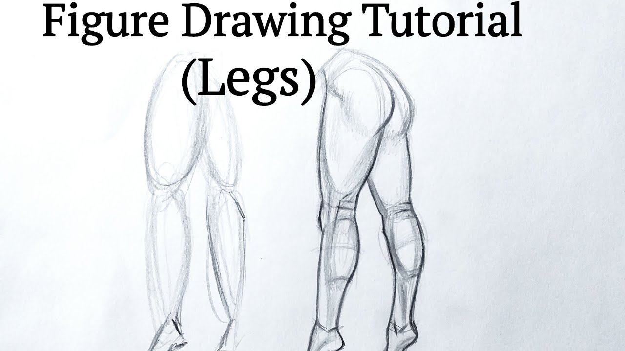 Premium Vector  Female legs line art one line drawing