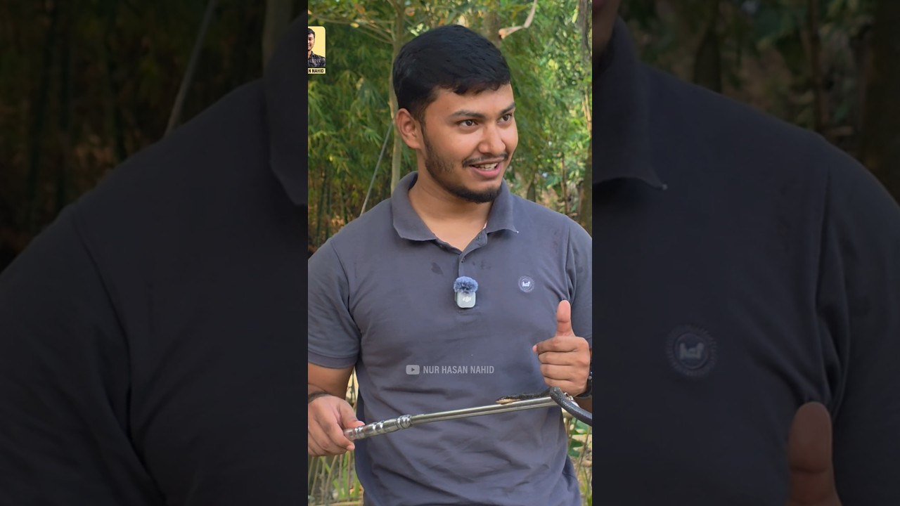 সাপের সাথে মানুষের ভুল বোঝাবুঝি #snake #wildlife #shorts #snakerescue #education #animals #awareness