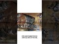 バチカンのモザイク画 モザイク フレスコ画 バチカンのモザイク画 モザイク フレスコ画