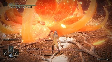 Bleeding out Malenia with 2 daggers (no hit, solo)