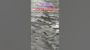 #short #قرآن #قران_كريم ، من سورة الواقعة وتلاوة قمة الهدوء والسكينة تلاوة الشيخ يوسف العيدروس ❤️🙏 .