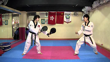 【Taekwondo】Combo Kicks, Turning Kicks, Single Kicks